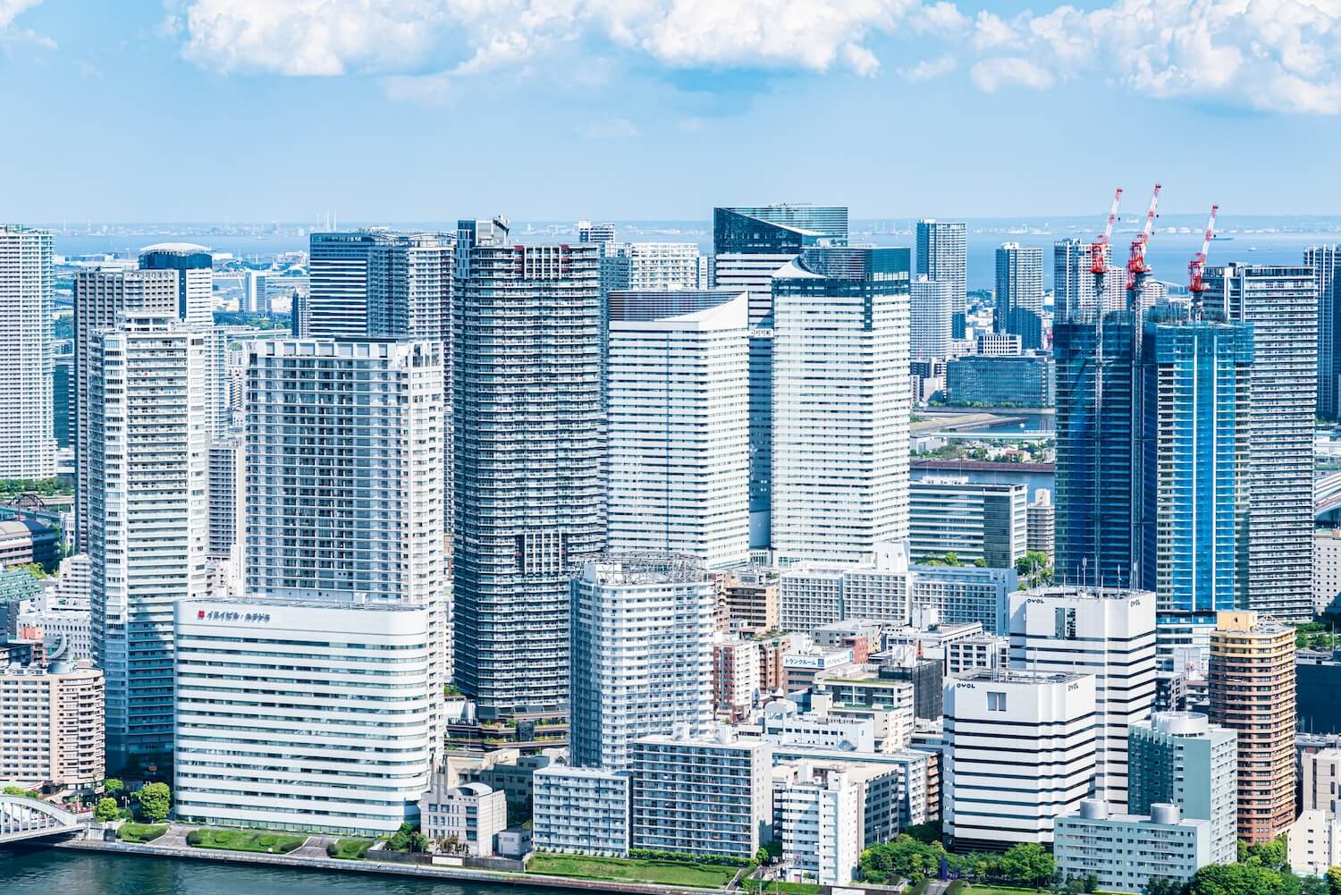 80㎡超物件が過去最高水準に
