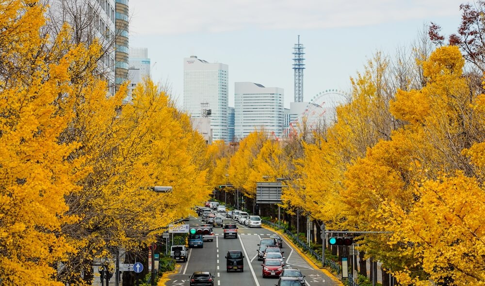 山下公園通り